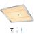 MICCYE Lámpara de Plantas 100W Luz de Crecimiento 450 LEDs Espectro Completo con 4/8/12H Temporizador 10 Niveles Regulables Lámpara de Cultivo Luz para Plantas